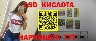 PSILOCYBIN Кинель