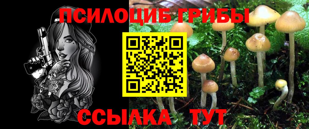 Псилоцибиновые грибы Magic Shrooms Тольятти